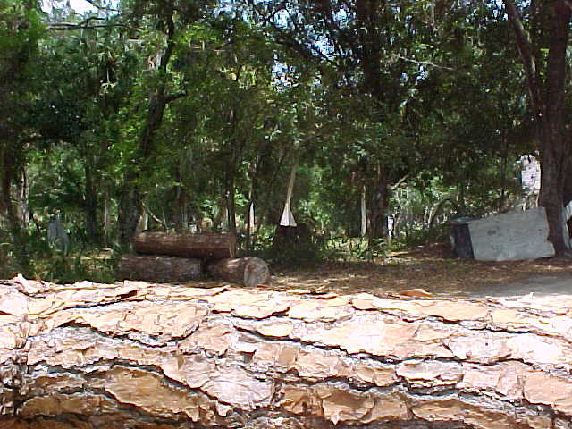 image not available